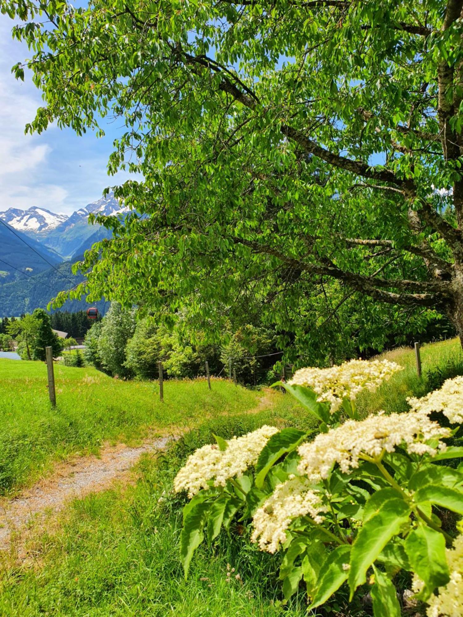 Klausenstein Gutshof Hollersbach * Hollersbach im Pinzgau